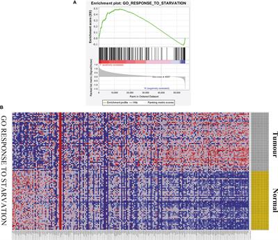 A Starvation-Based 9-mRNA Signature Correlates With Prognosis in Patients With Hepatocellular Carcinoma